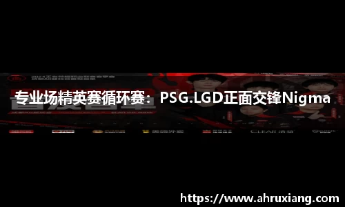 专业场精英赛循环赛：PSG.LGD正面交锋Nigma